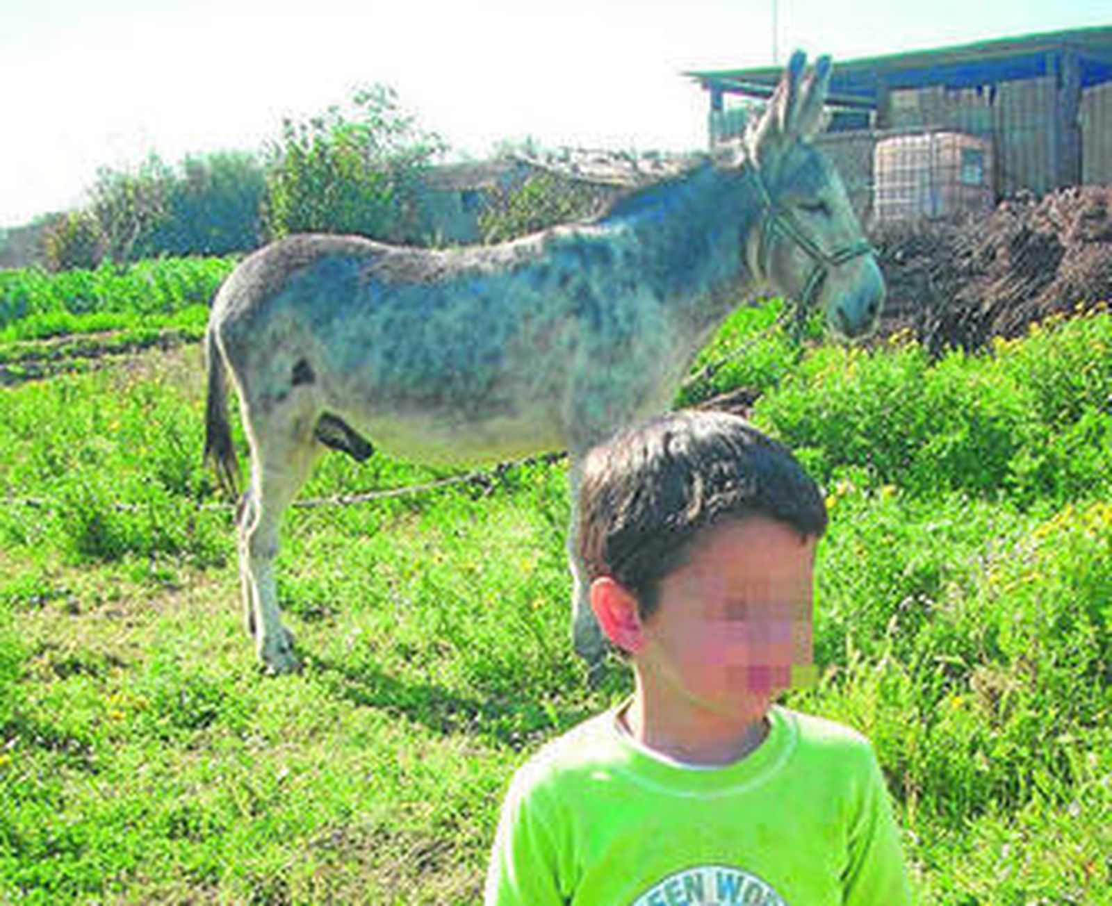 El municipio se moviliza para dar con los asesinos del burro Alfalfero