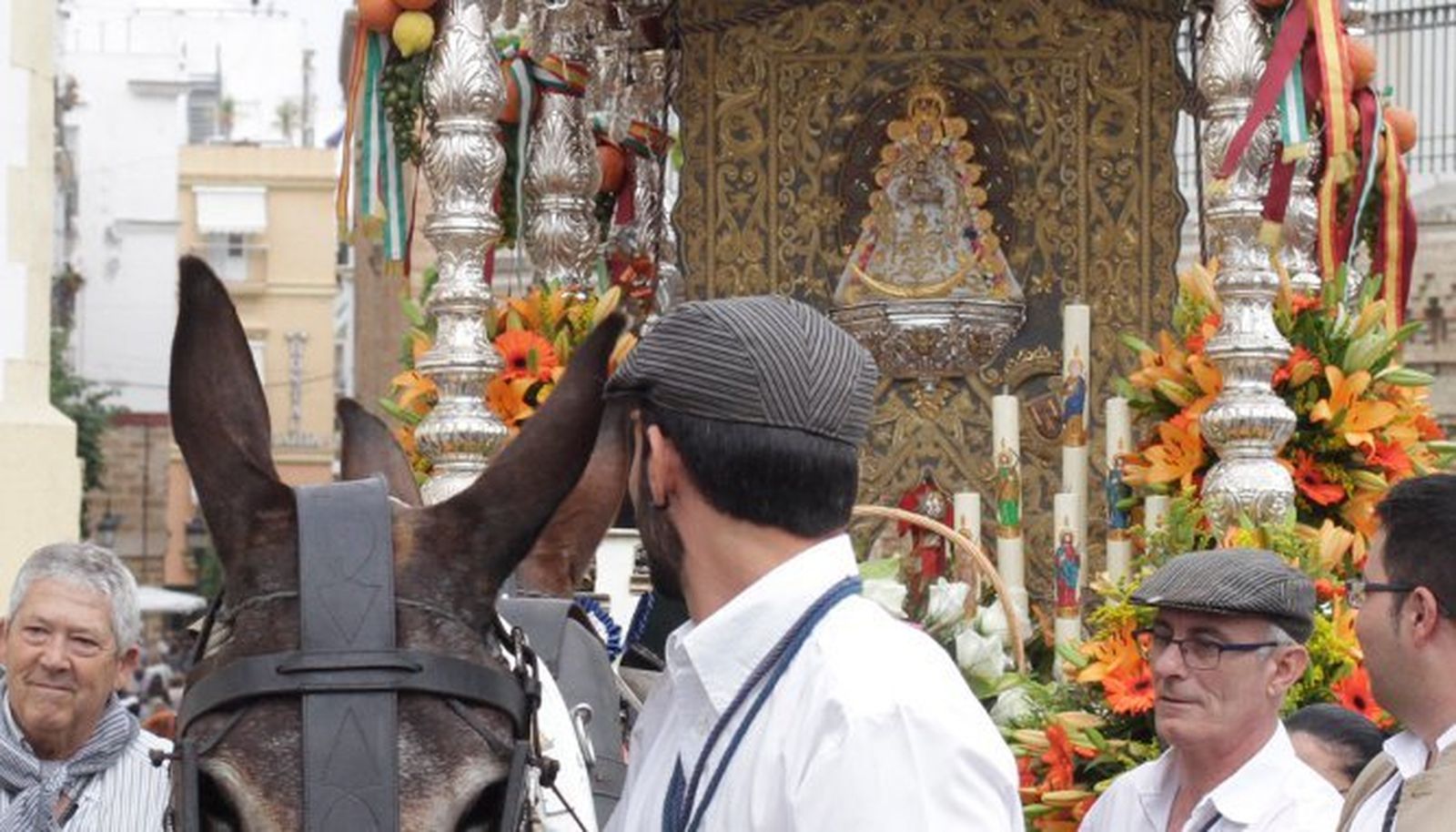 Los mulos tiran del Simpecado del Rocío.