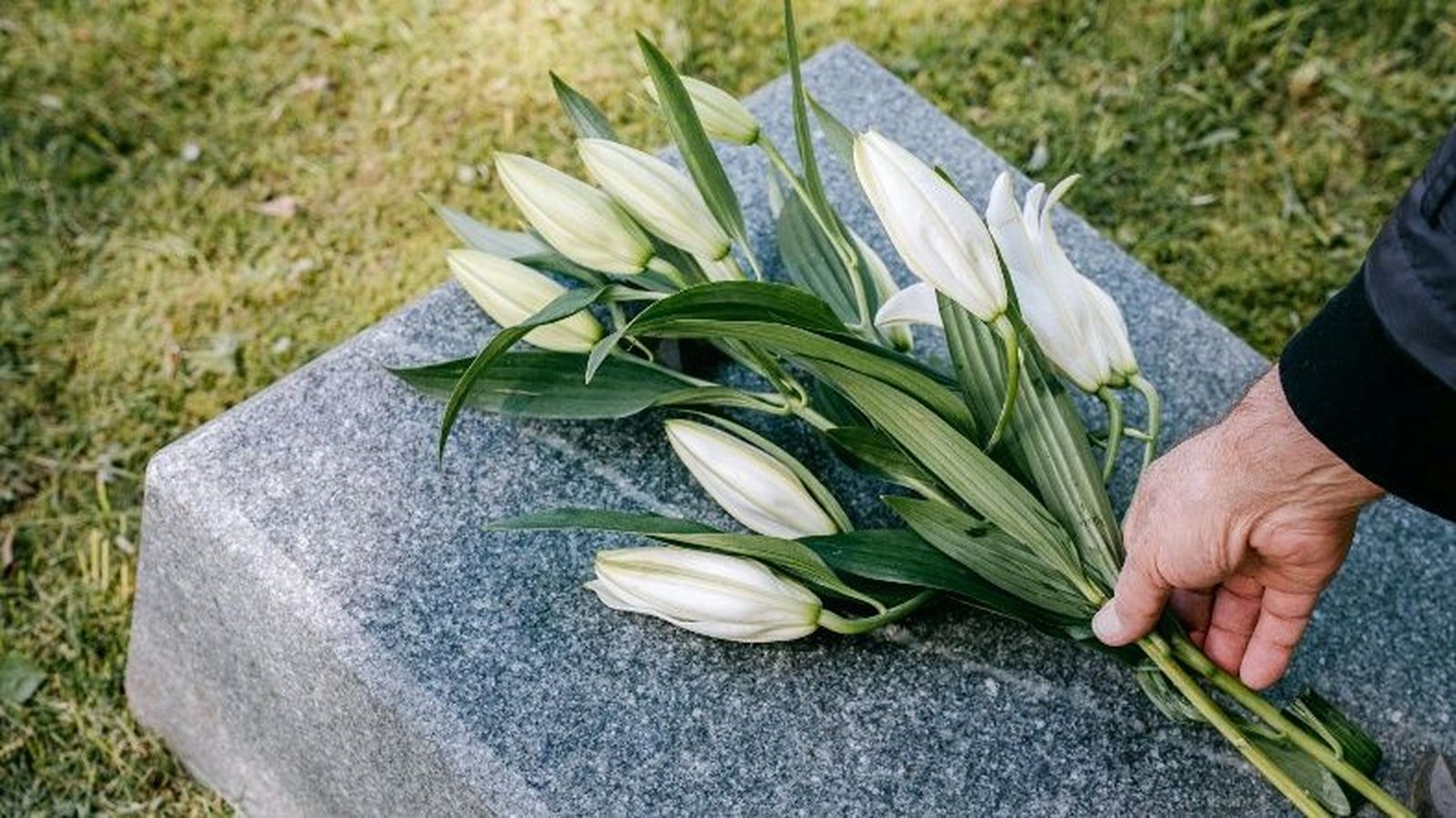 Funeraria Albia Sevilla