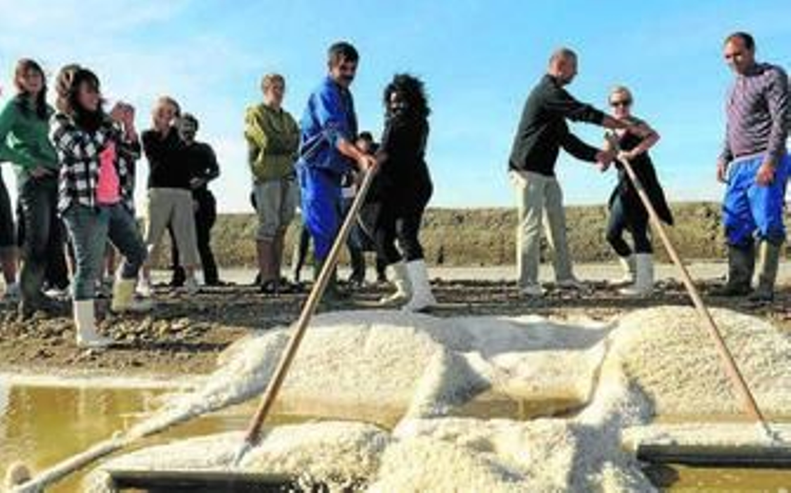 Voluntarios medioambientales realizan trabajos en la salina de La Esperanza, en una imagen de archivo.