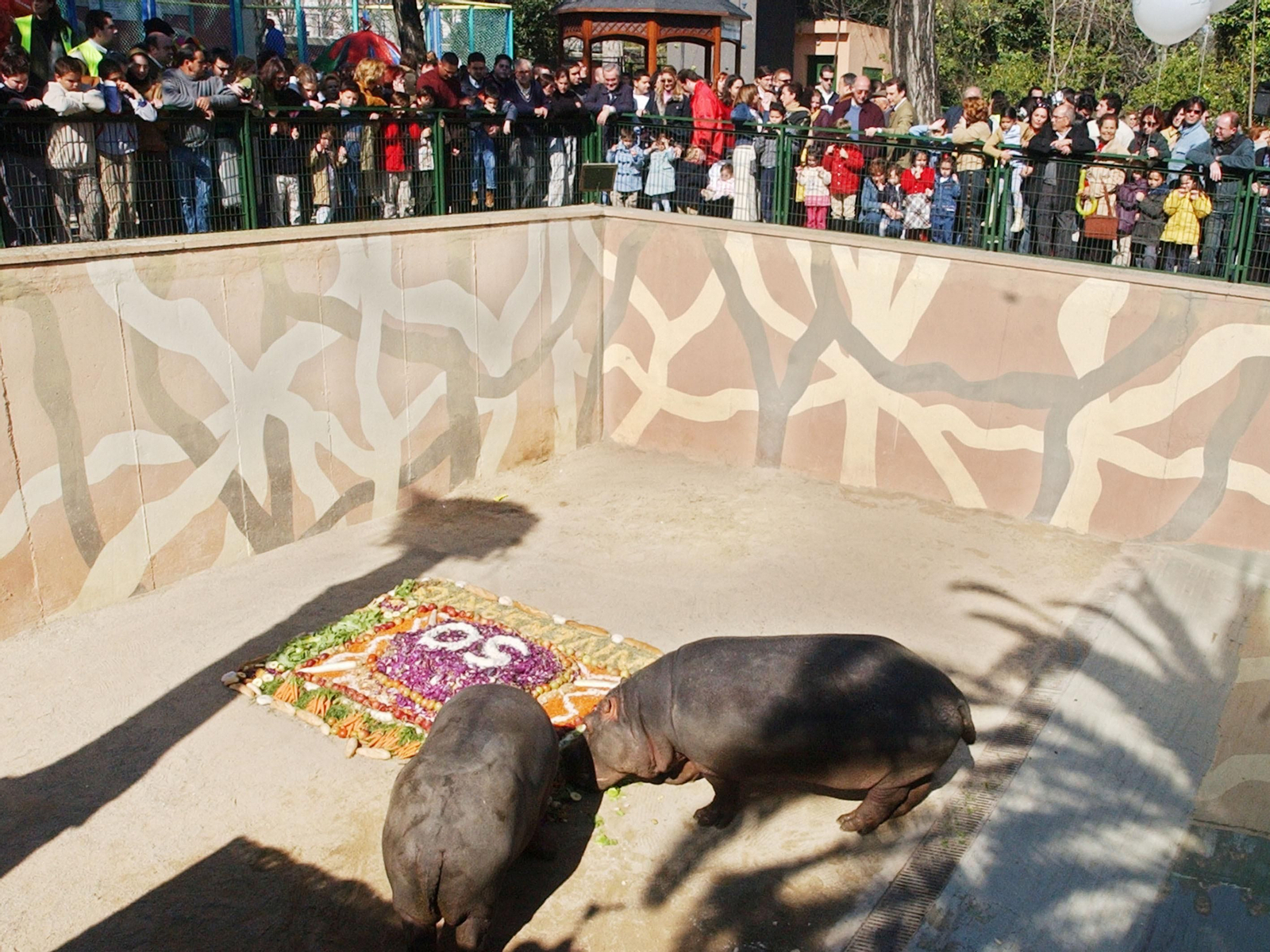 Recorrido gráfico por los 68 años del Zoobotánico en su aniversario