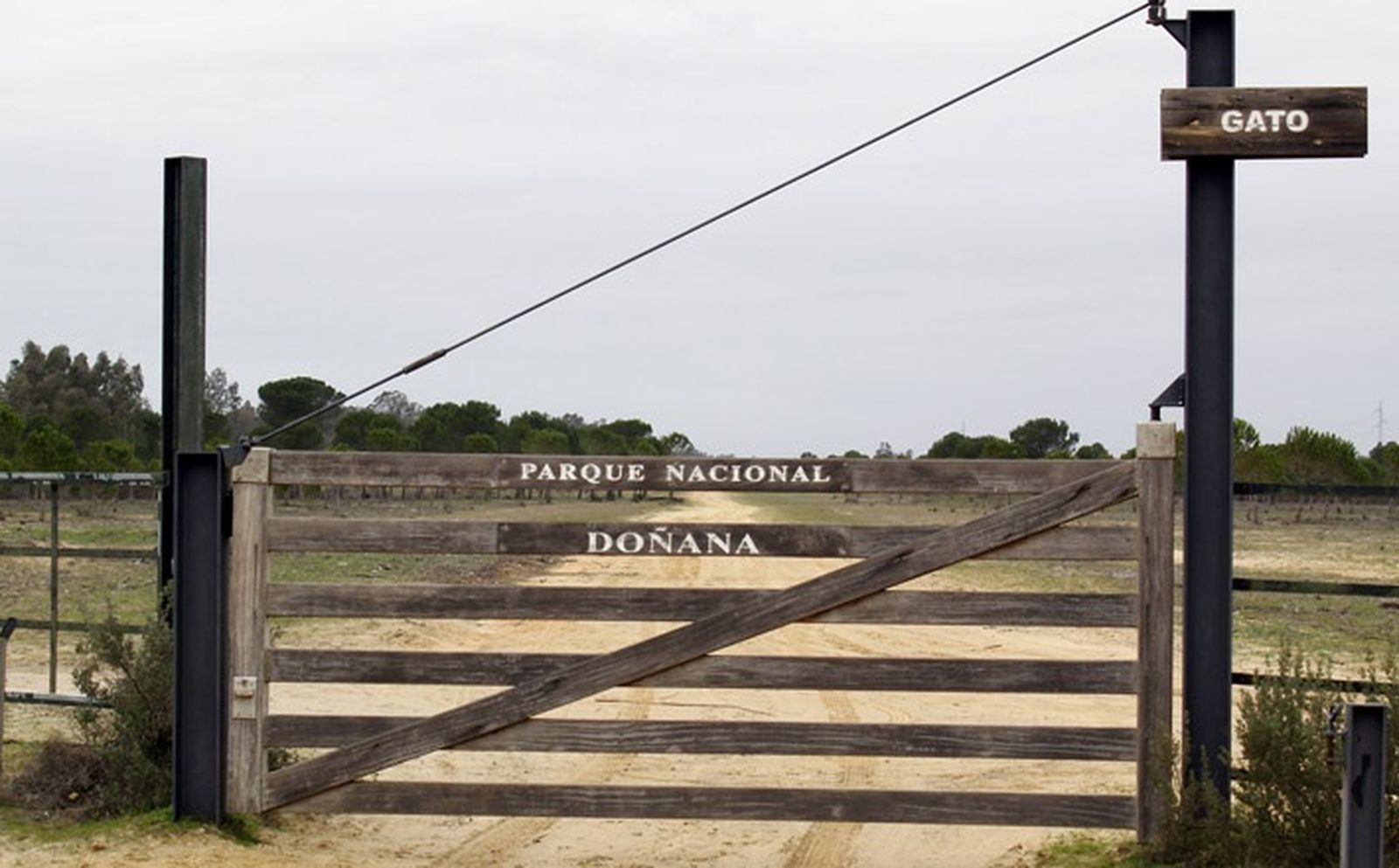 La filial celebra su jornada de convivencia en el paraje de Gato.