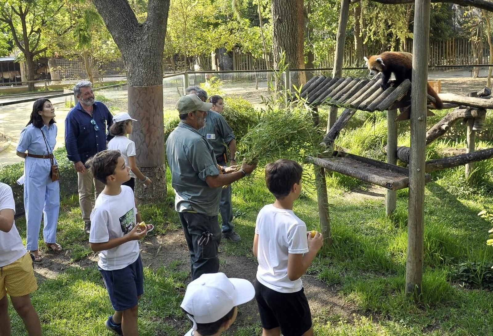 Los niños de la Escuela de Naturaleza del Zoo Jerez en una actividad Los niños de la Escuela de Naturaleza del Zoo Jerez en una actividad