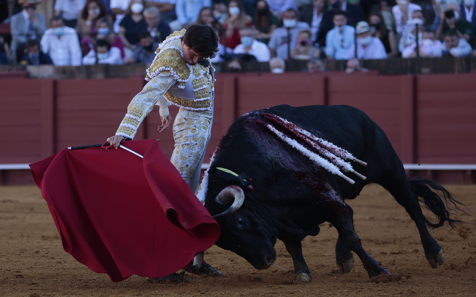 Las imágenes del primer festejo de San Miguel