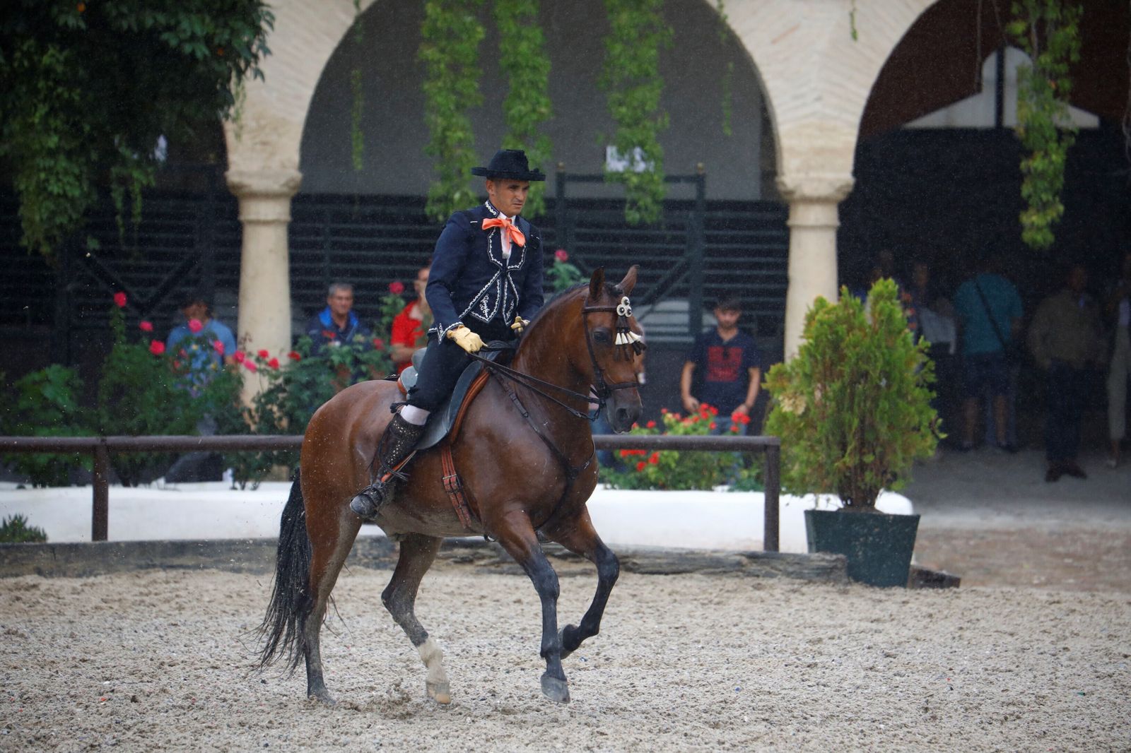 La celebración de la VI Copa de España de Alta Escuela en Córdoba, en imágenes