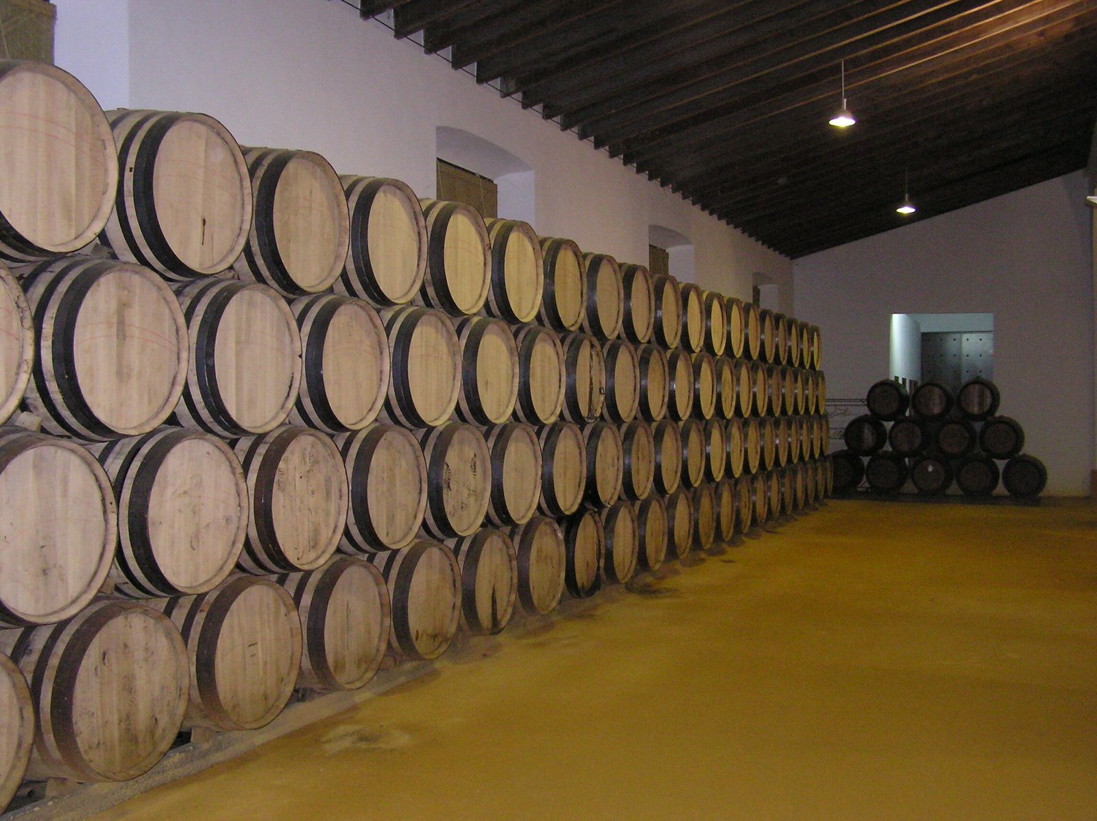 Bodega montillana.