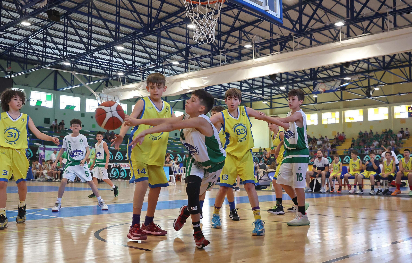Fotos de la final del Cadeba minibasket masculino en La Línea