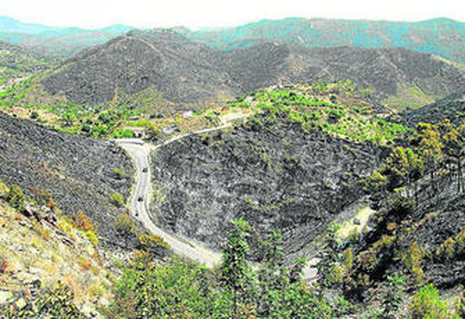 Una de las zonas devastadas por las llamas en la sierra de Ojén.