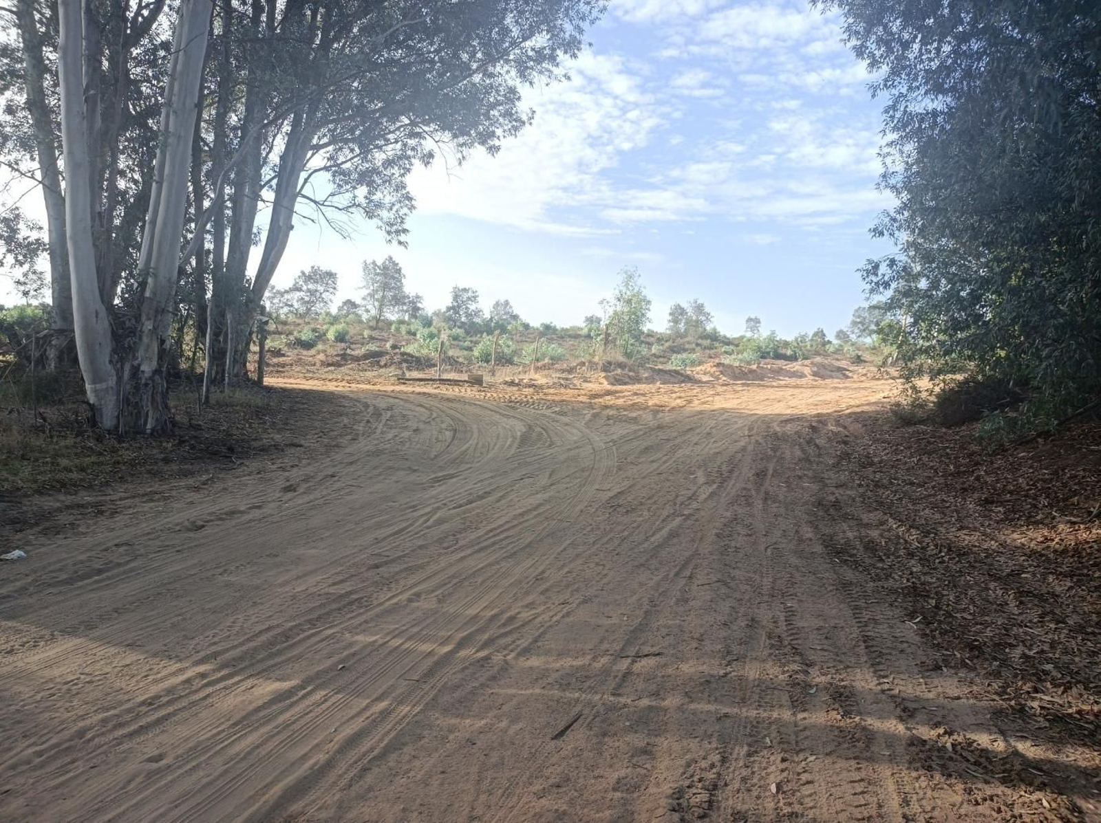 Fotos del Camino de San Diego en Almensilla