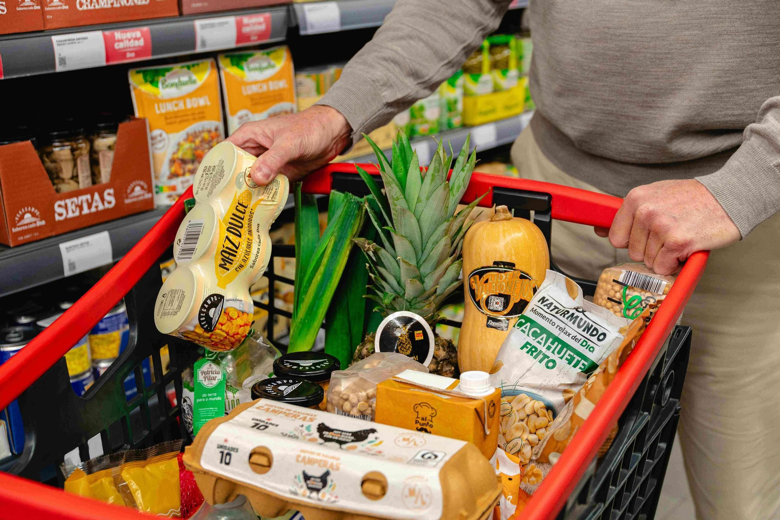Cesta de la compra con productos Dia.