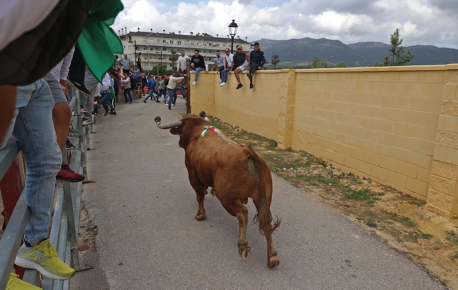 Las mejores fotos del Toro Embolao de Los Barrios 2024