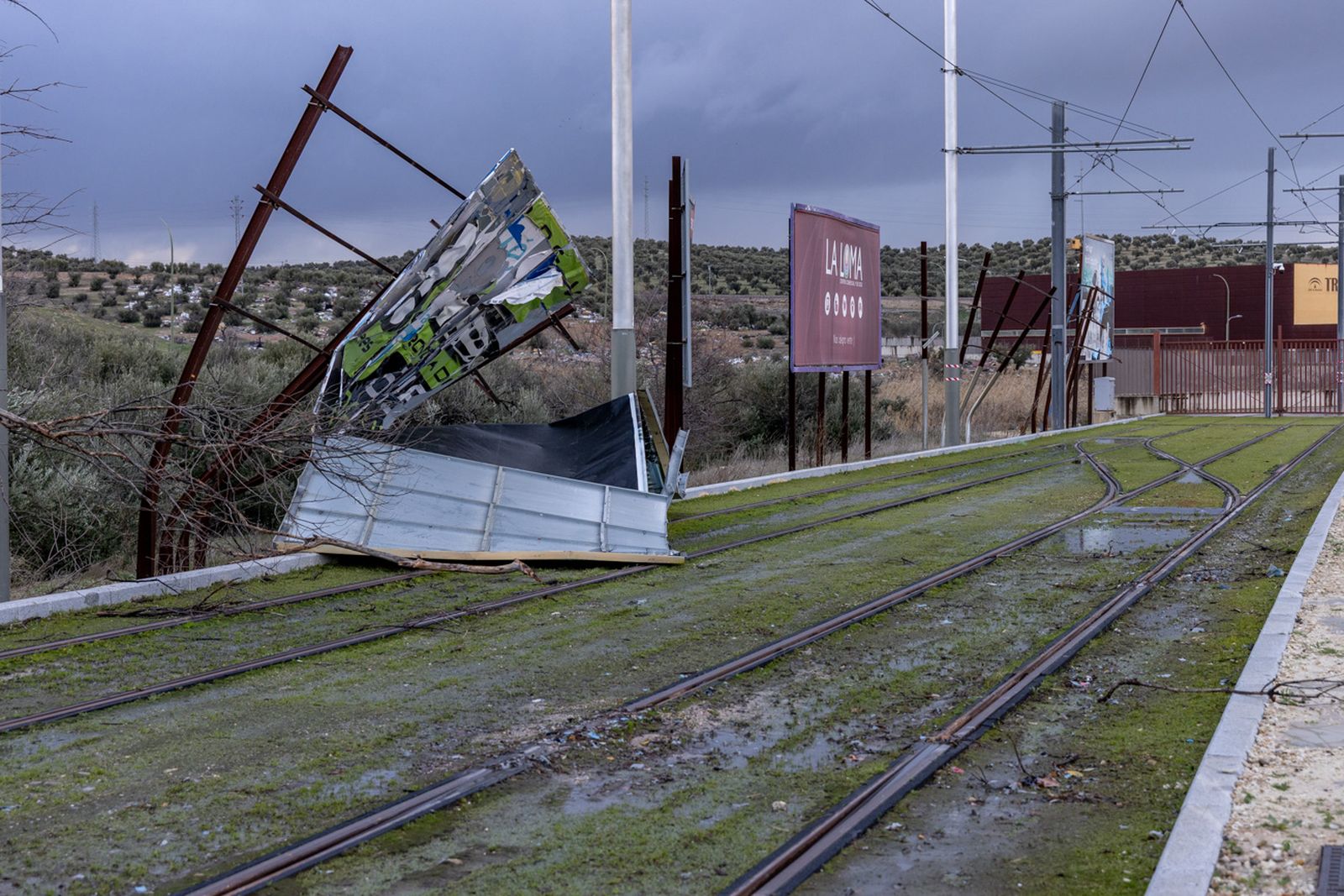 Las fuertes rachas de viento de la borrasca Leonardo dejan estas imágenes en Jaén