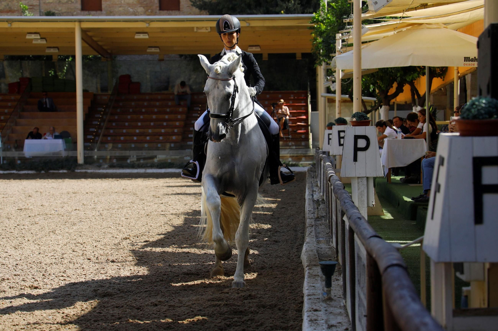 El concurso nacional de Doma Clásica en las Caballerizas Reales de Córdoba