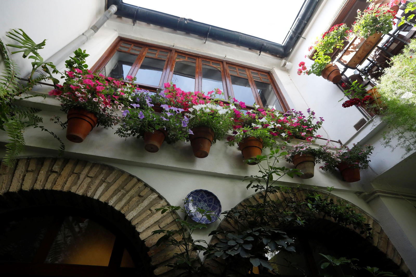 Los patios de Córdoba de la ruta Judería-San Francisco, en imágenes