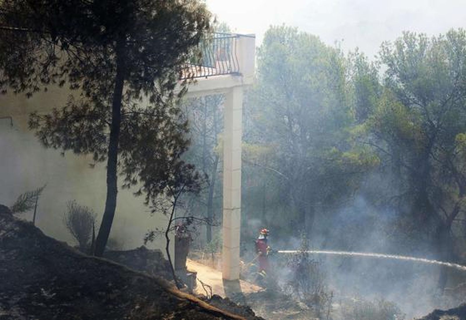 El fuego arrasa miles de hectáreas en comarcas del interior de la provincia de Valencia.

Foto: AFP