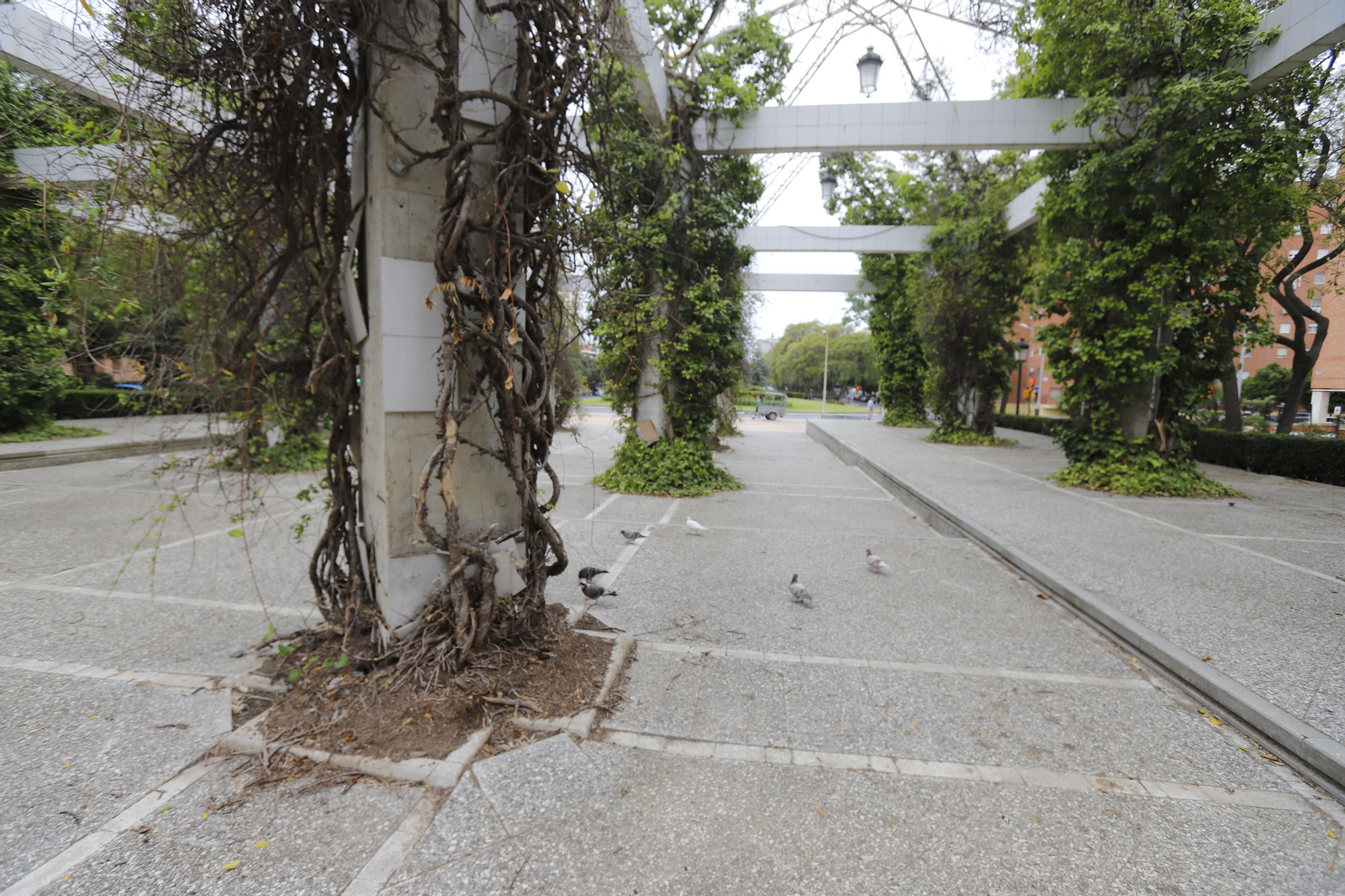 Imágenes del deterioro en la Avenida de Andalucía