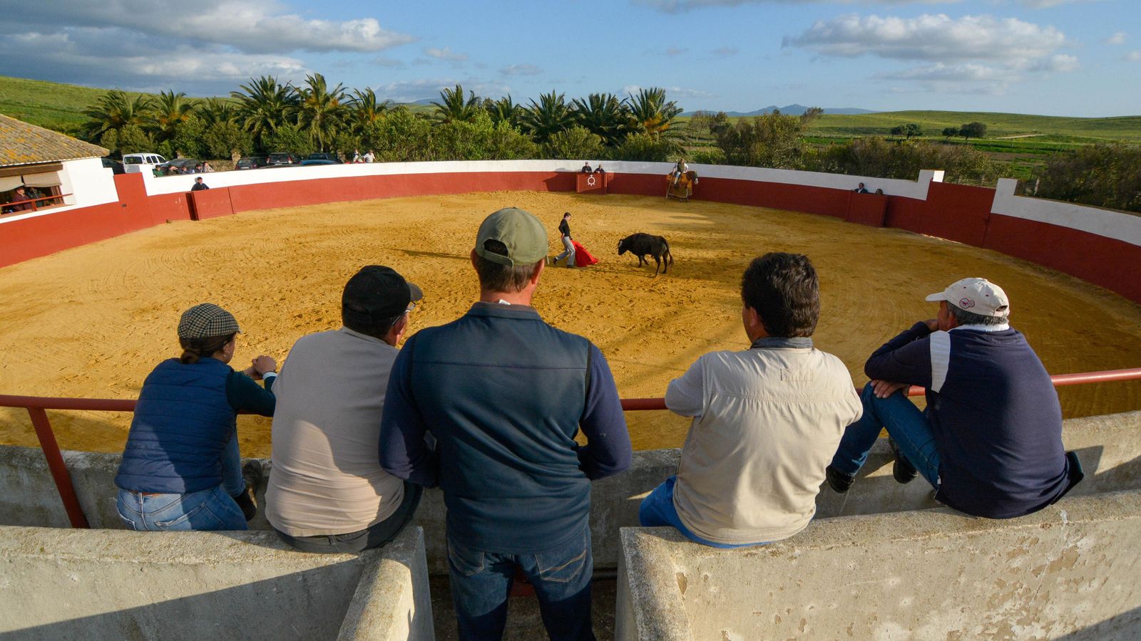 Varios “tapias” aspirantes a torero y personal de la finca contemplan la tienta.