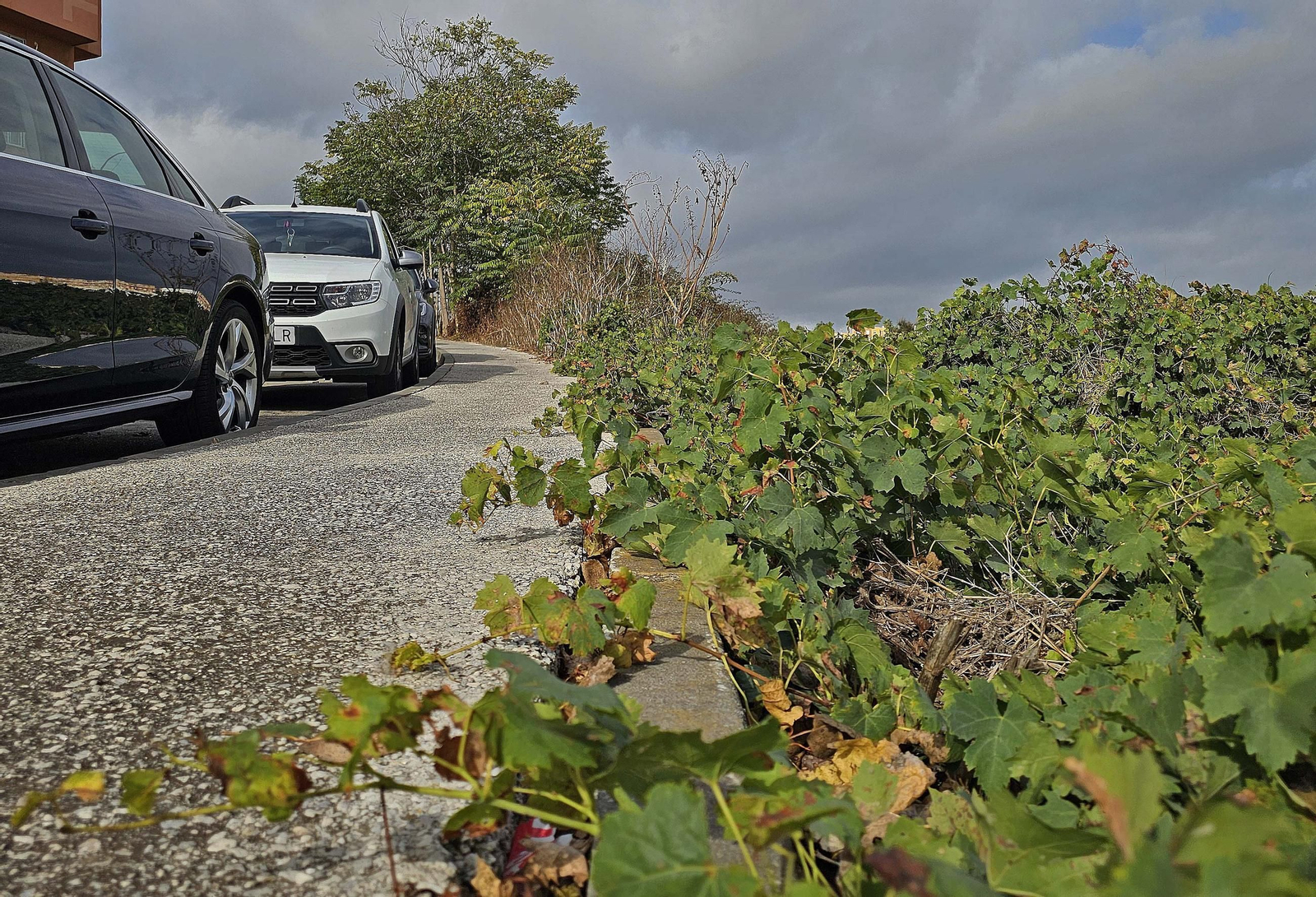 Fotos de los desperfectos en la barriada del Liang Shan Po en Algeciras