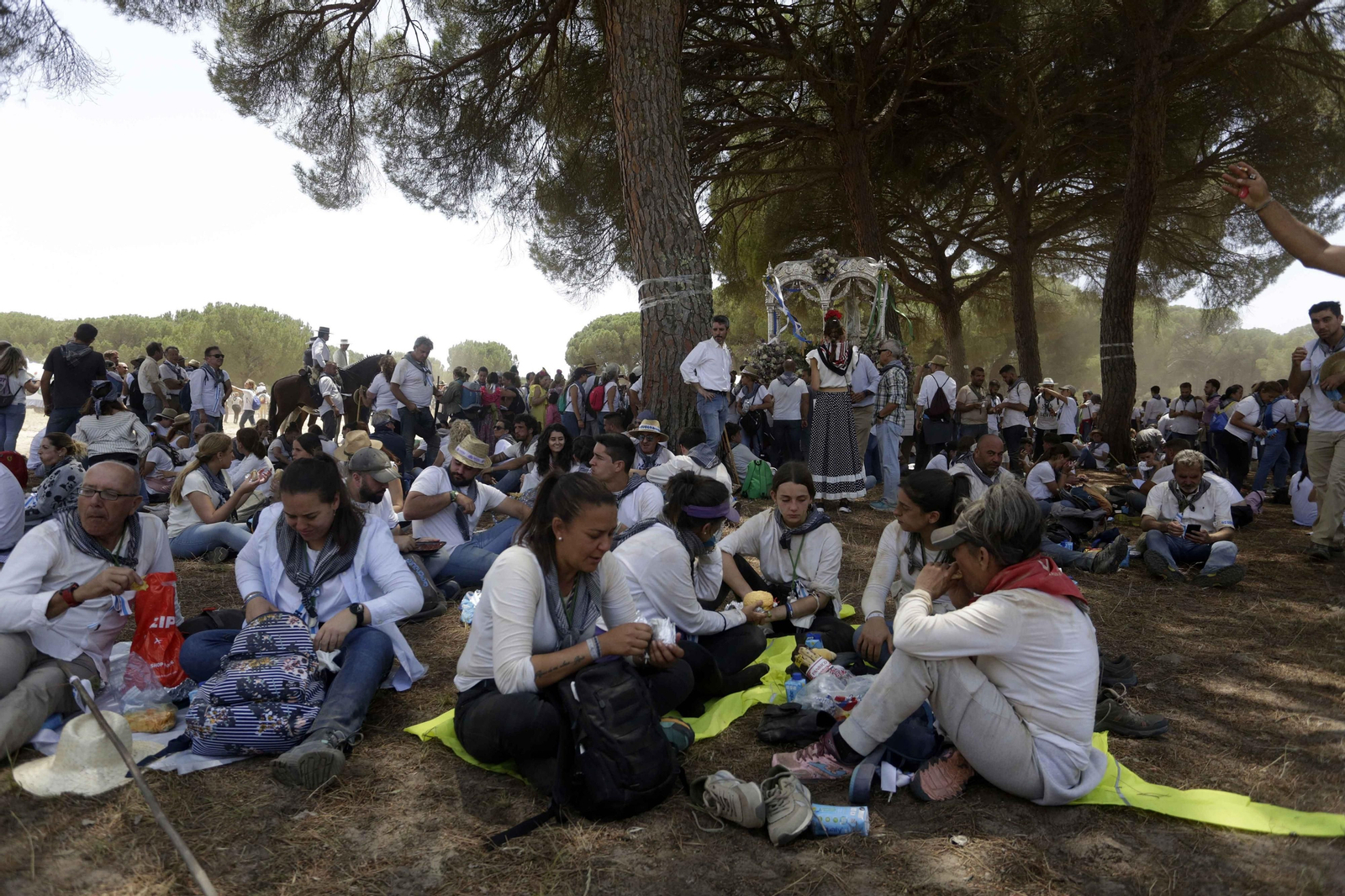 El Rocío 2023: Imágenes del Camino de la Hermandad del Rocío de Huelva