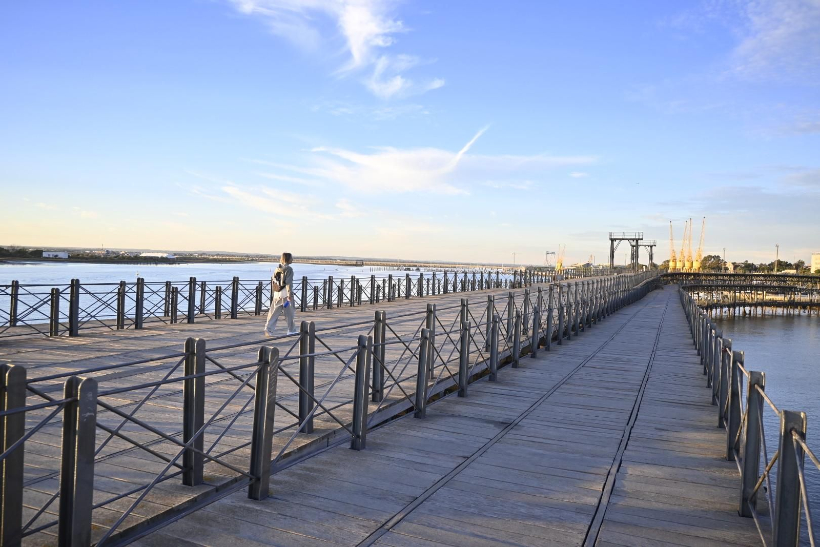 Un paseo por el Muelle del Tinto de Huelva, en imágenes