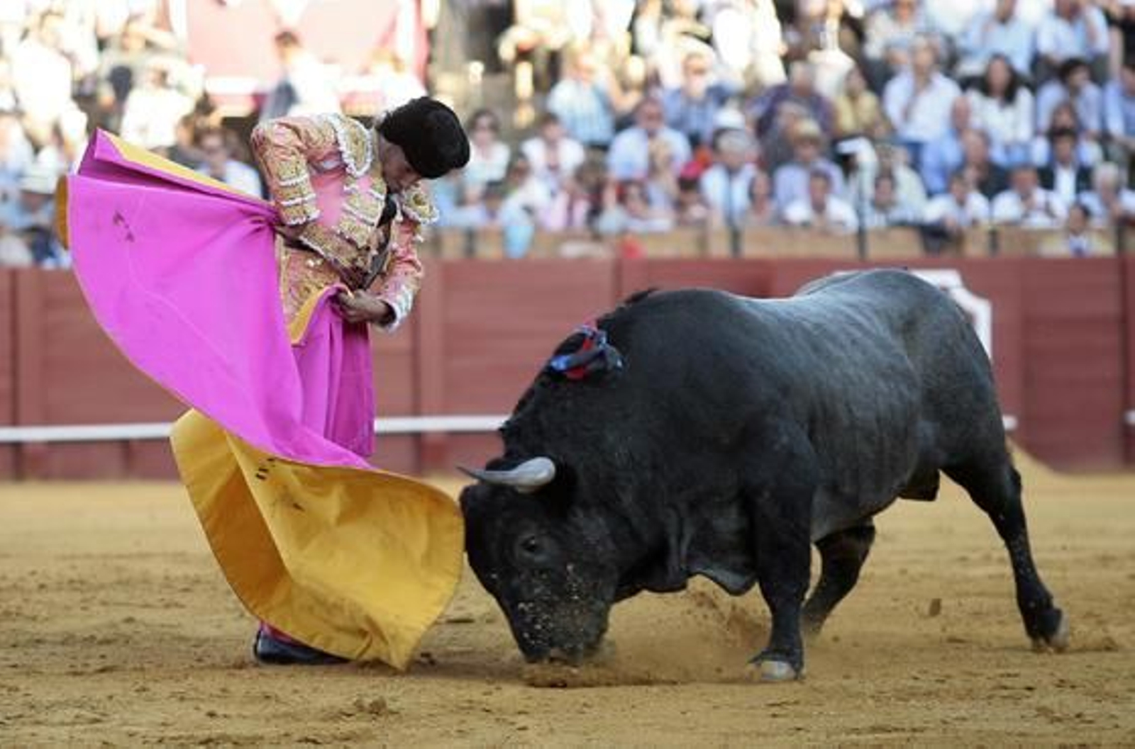 Foto: Juan Carlos Muñoz