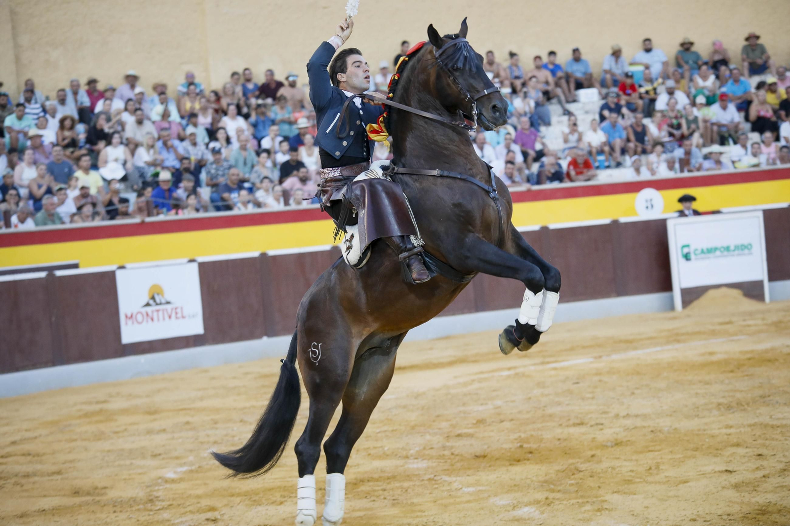 Corrida de toros Berja con un toro indultado, en imágenes