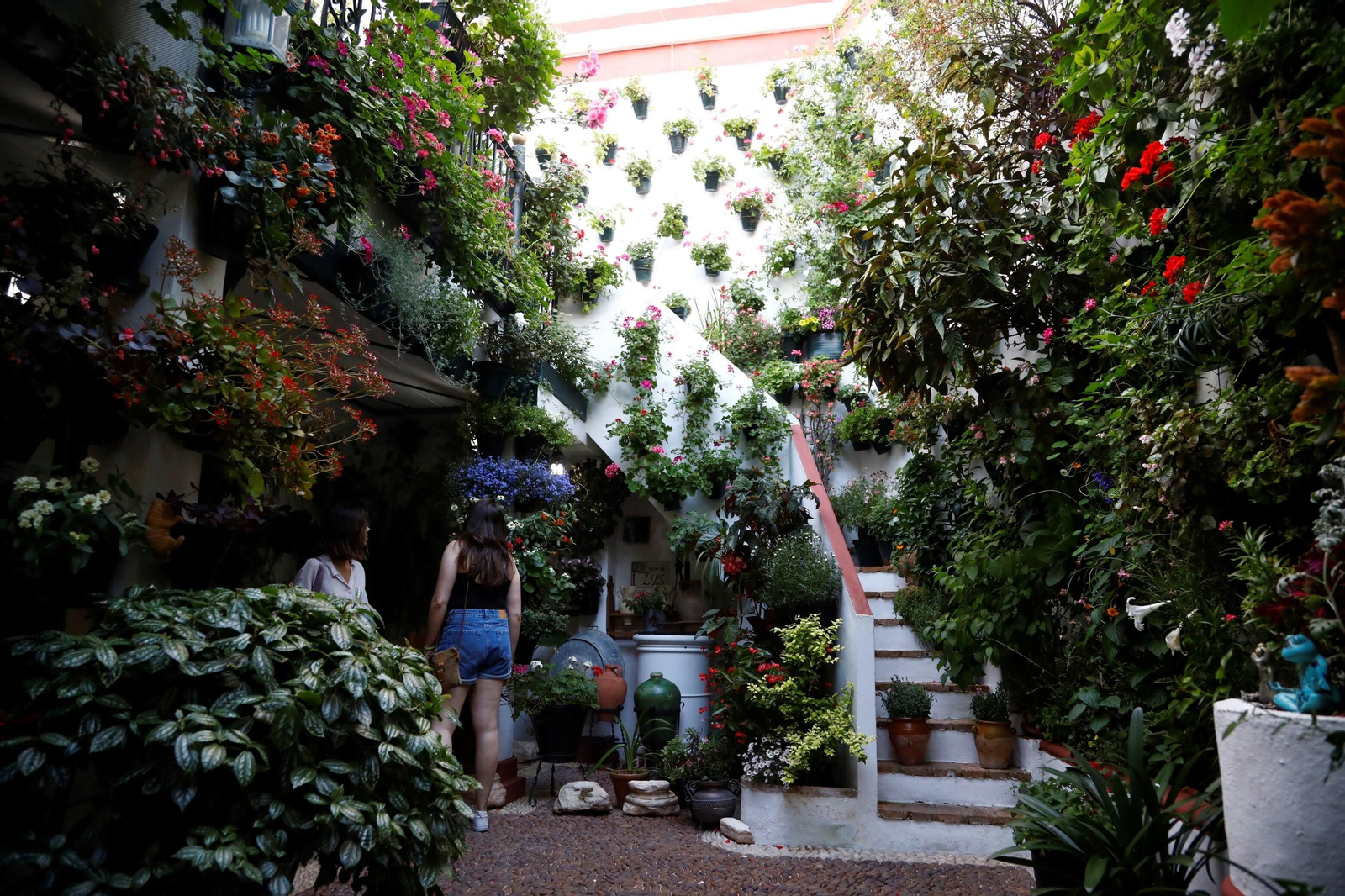 Los ganadores del Concurso de Patios de Córdoba 2023, en imágenes