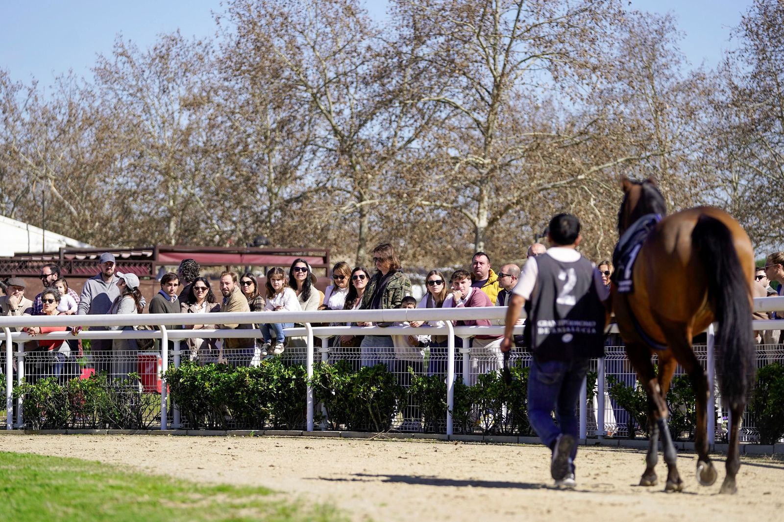 Las fotos del Premio Diario de Sevilla en el hipódromo de Dos Hermanas