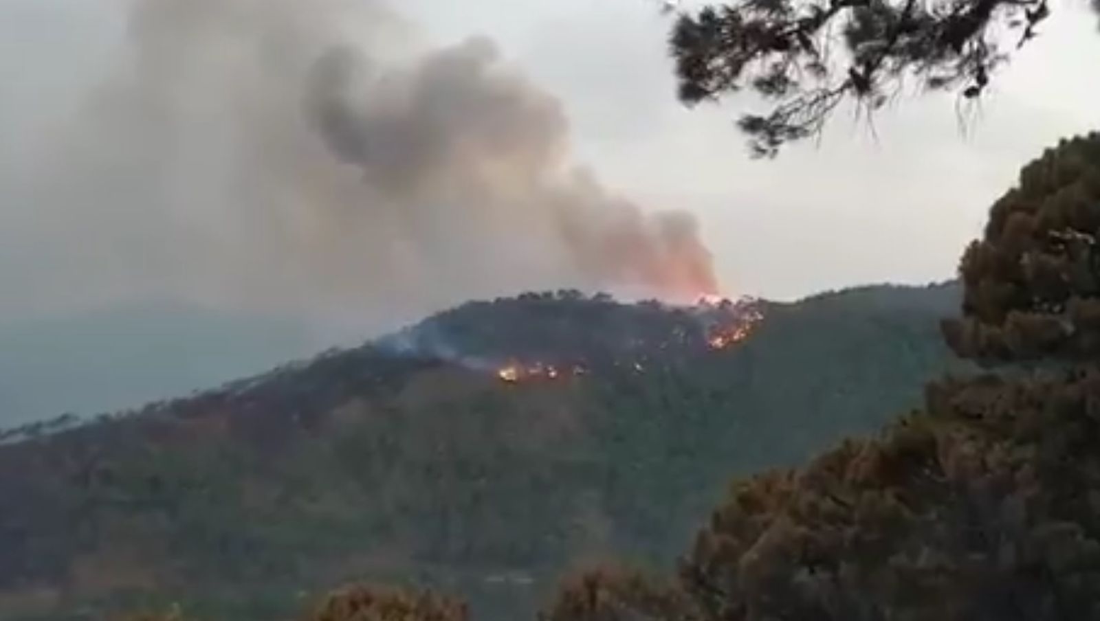 Estado del incendio en Jubrique este sábado.