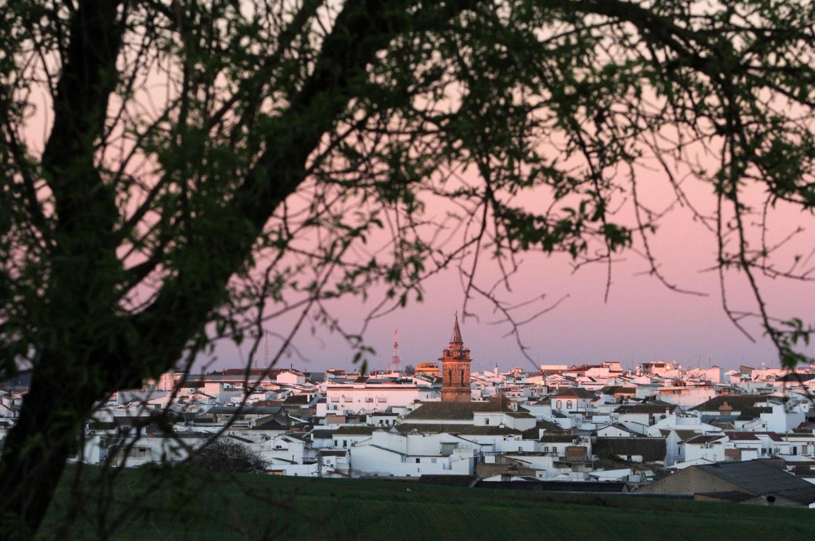 Imágenes del viernes 29 de diciembre en Huelva