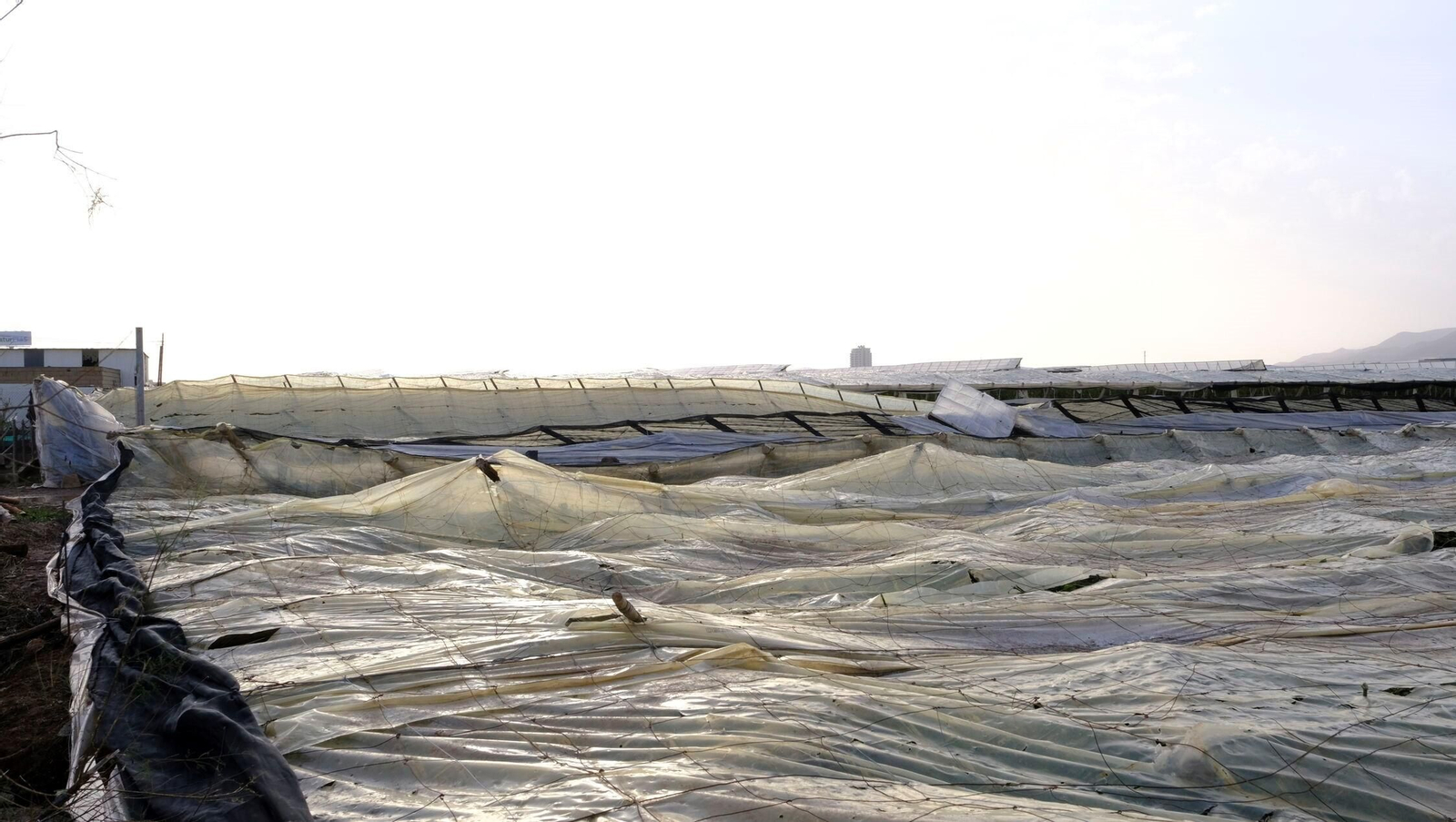 Uno de los invernaderos afectados por la DANA de octubre.