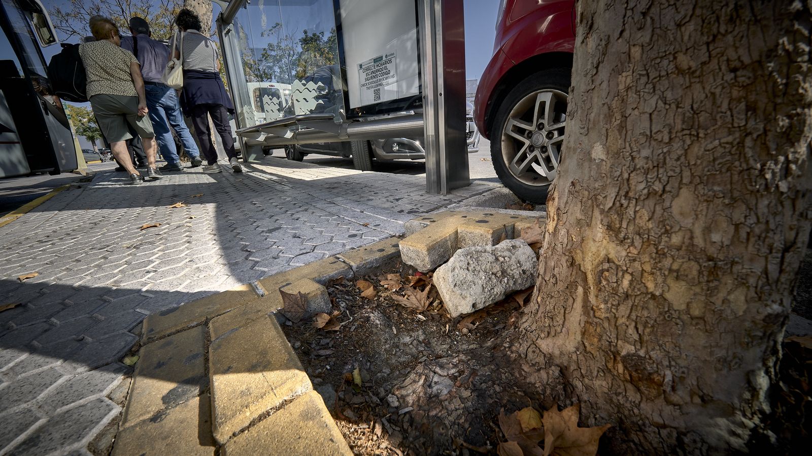 Deterioro y decadencia del centro de El Puerto de Santa María