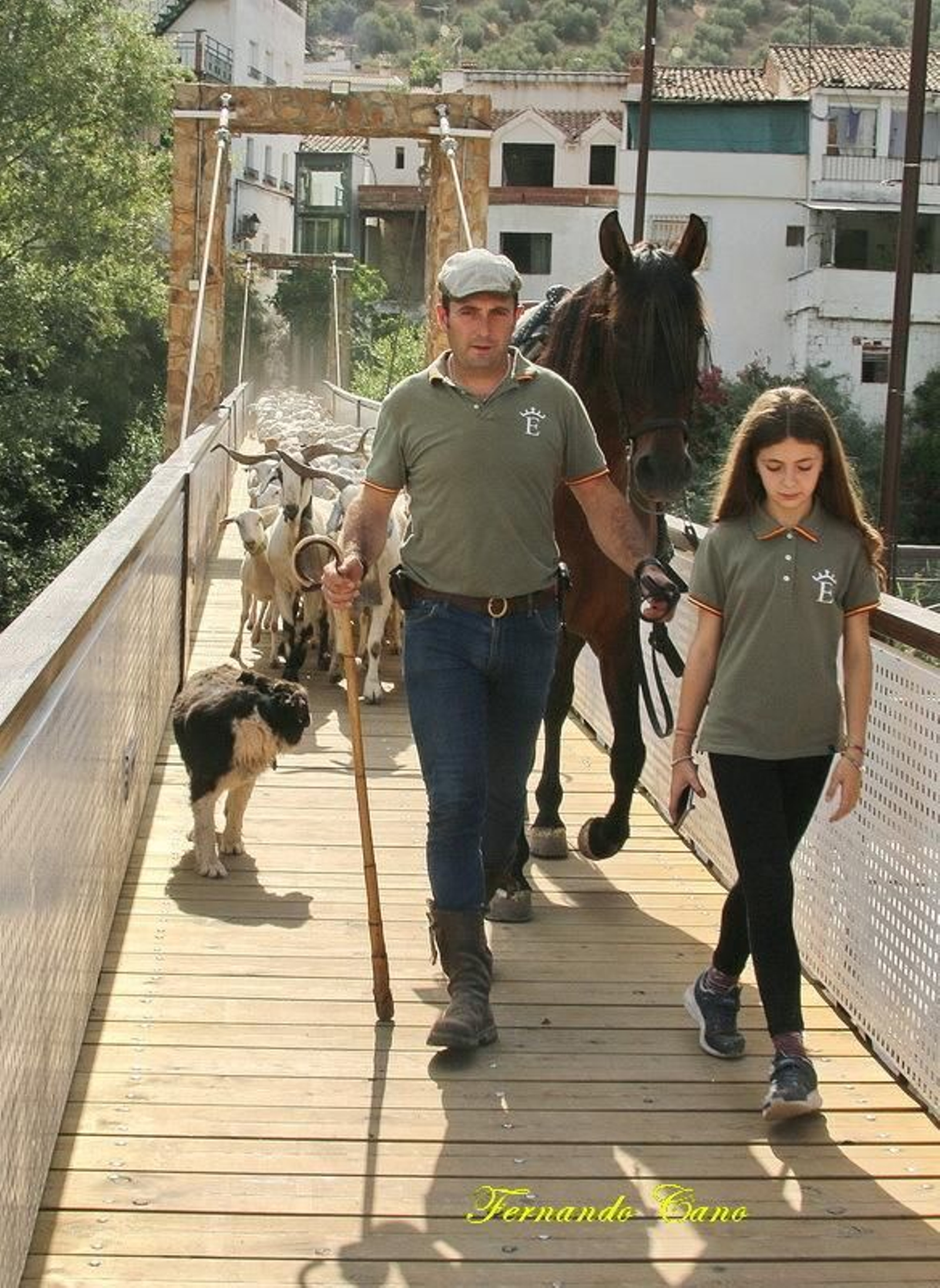 Las reses del ganadero Pablo Espinar hacen la trashumancia a su paso por Mogón.