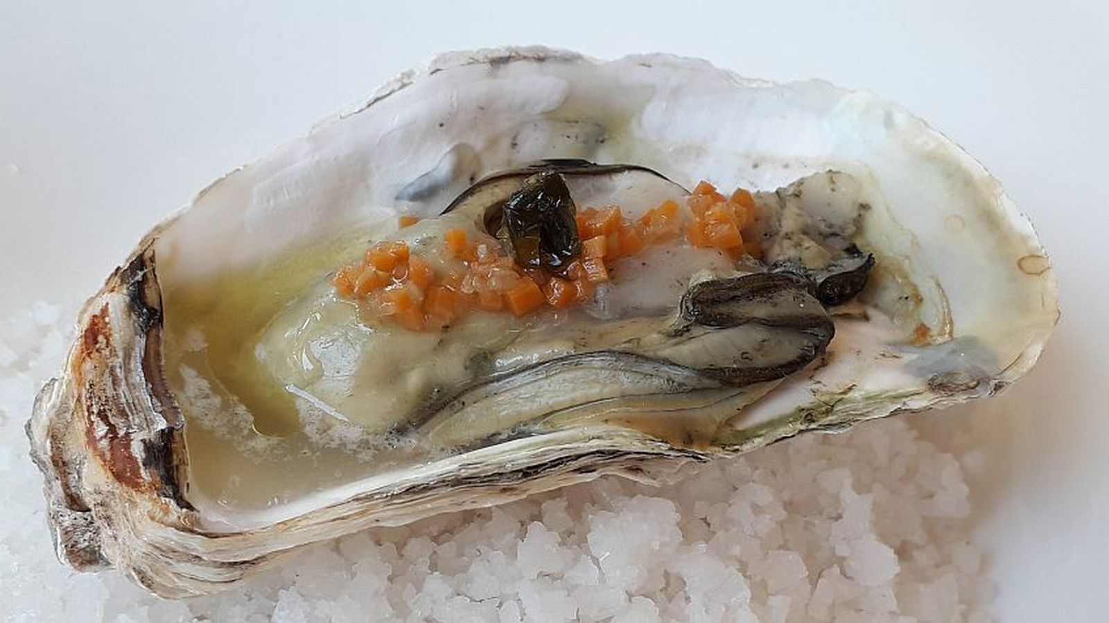 Así presentan los ostiones