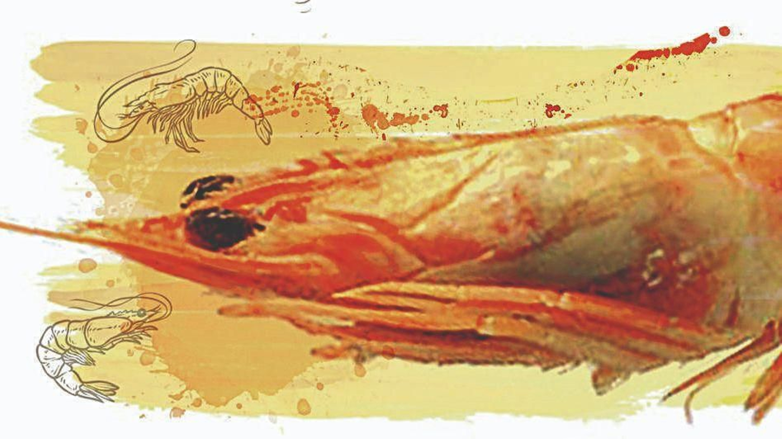 Costa Noroeste
