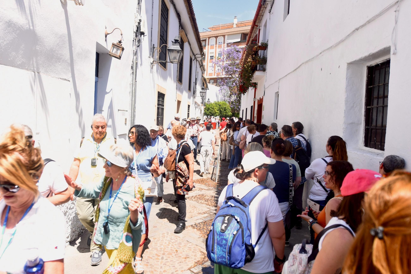 El último sábado de Patios de Córdoba en Alcázar Viejo, en imágenes