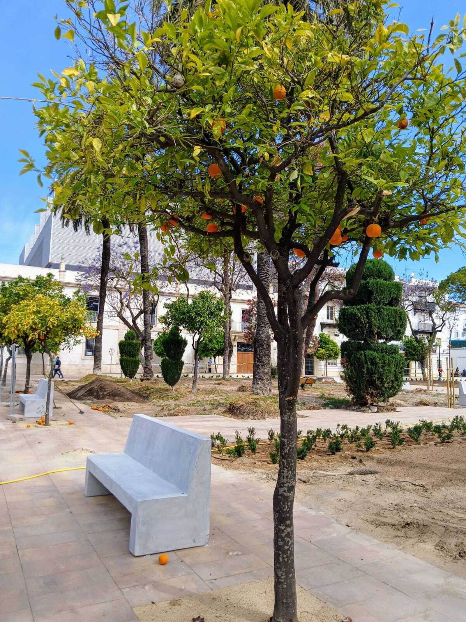 Las imágenes de la reforma de la plaza de El Polvorista, en El Puerto de Santa María