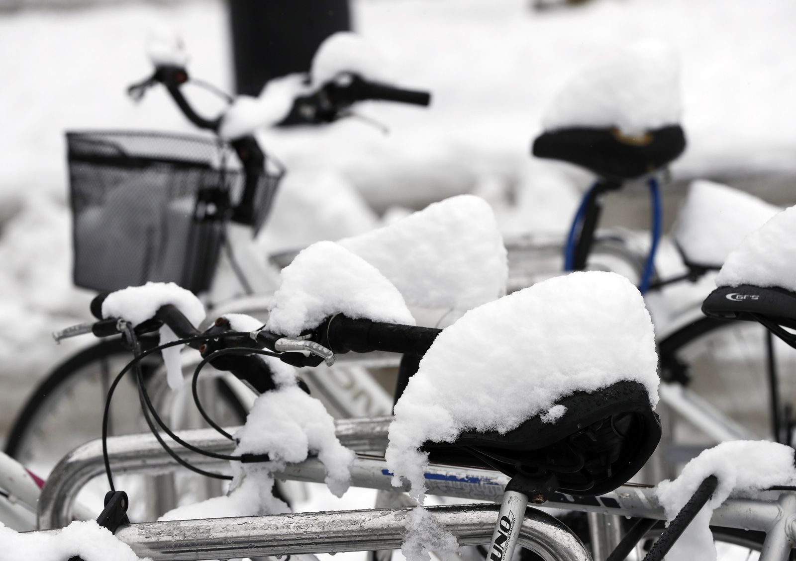 Temporal de frío y nieve en el norte del país