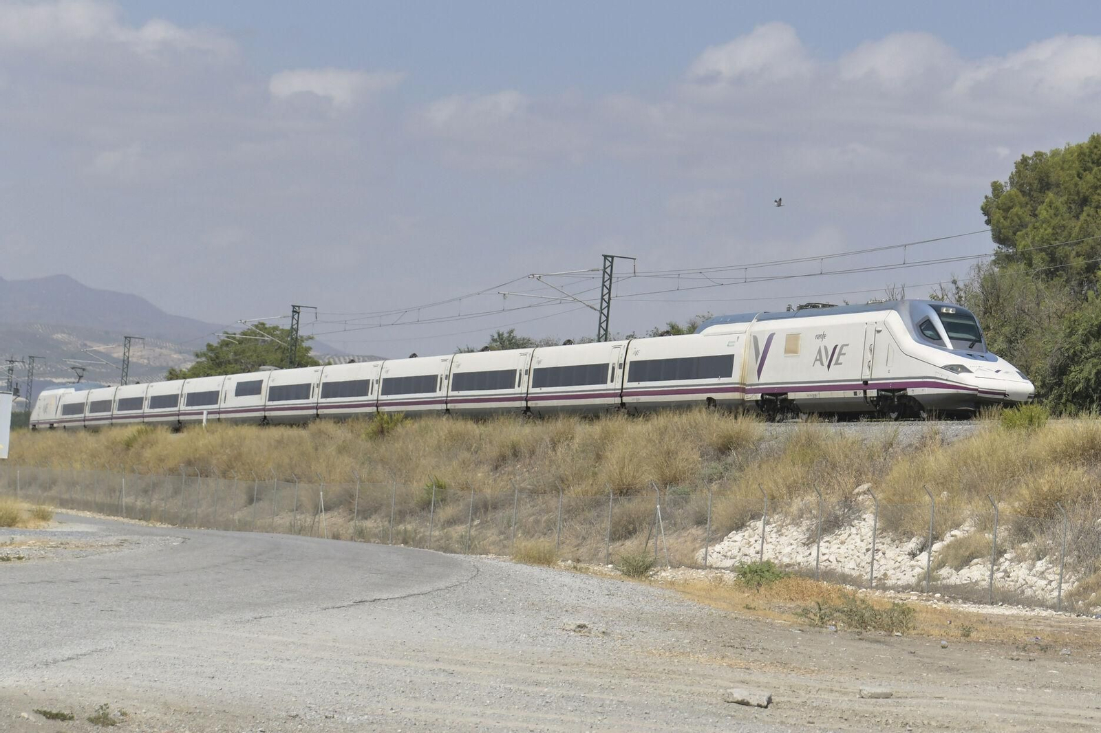 Renfe rectifica y mejora los tiempos de viaje en AVE entre Granada y Madrid