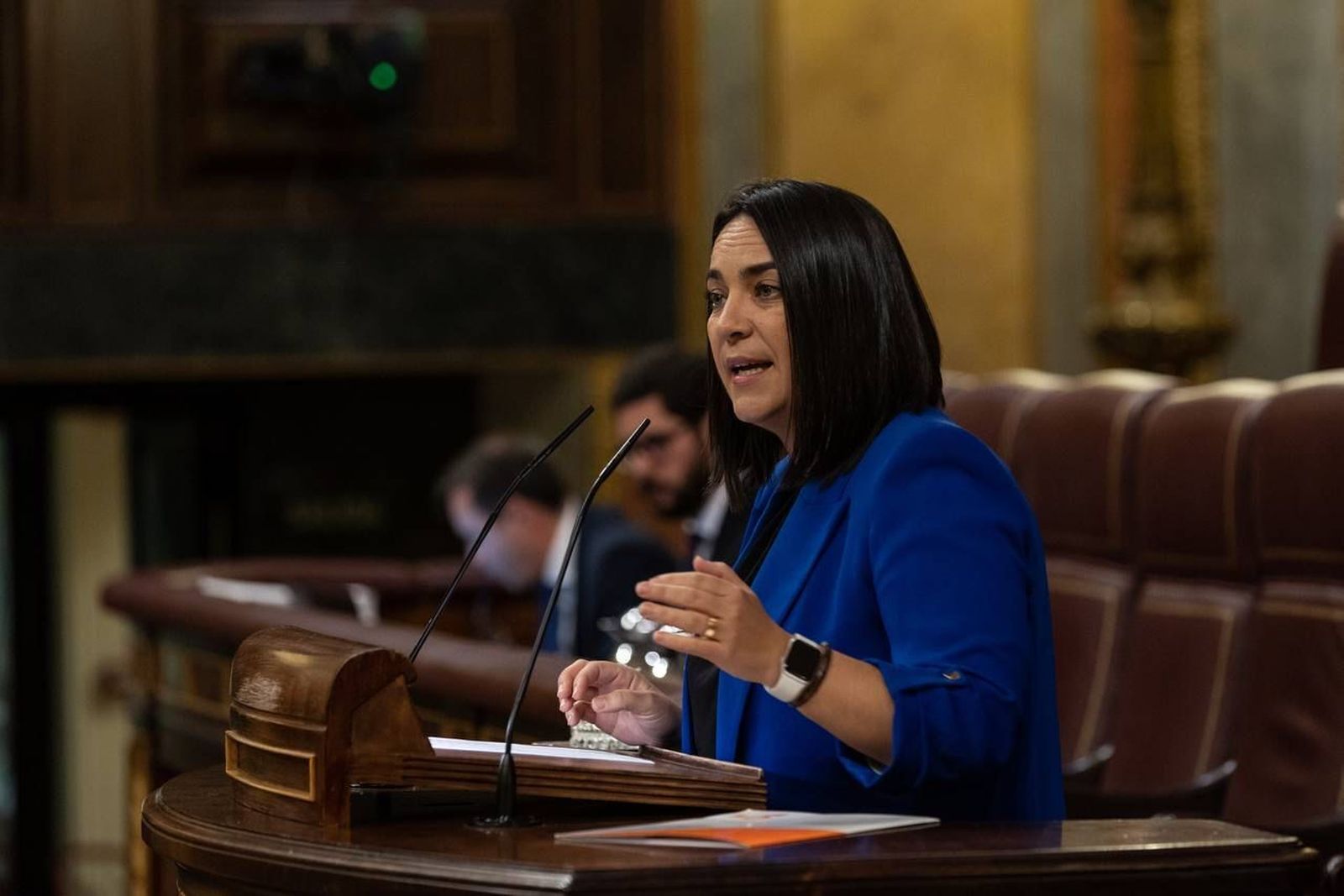 La diputada de Ciudadanos por Cádiz,  María del Carmen Martínez, en la comisión de Agricultura.