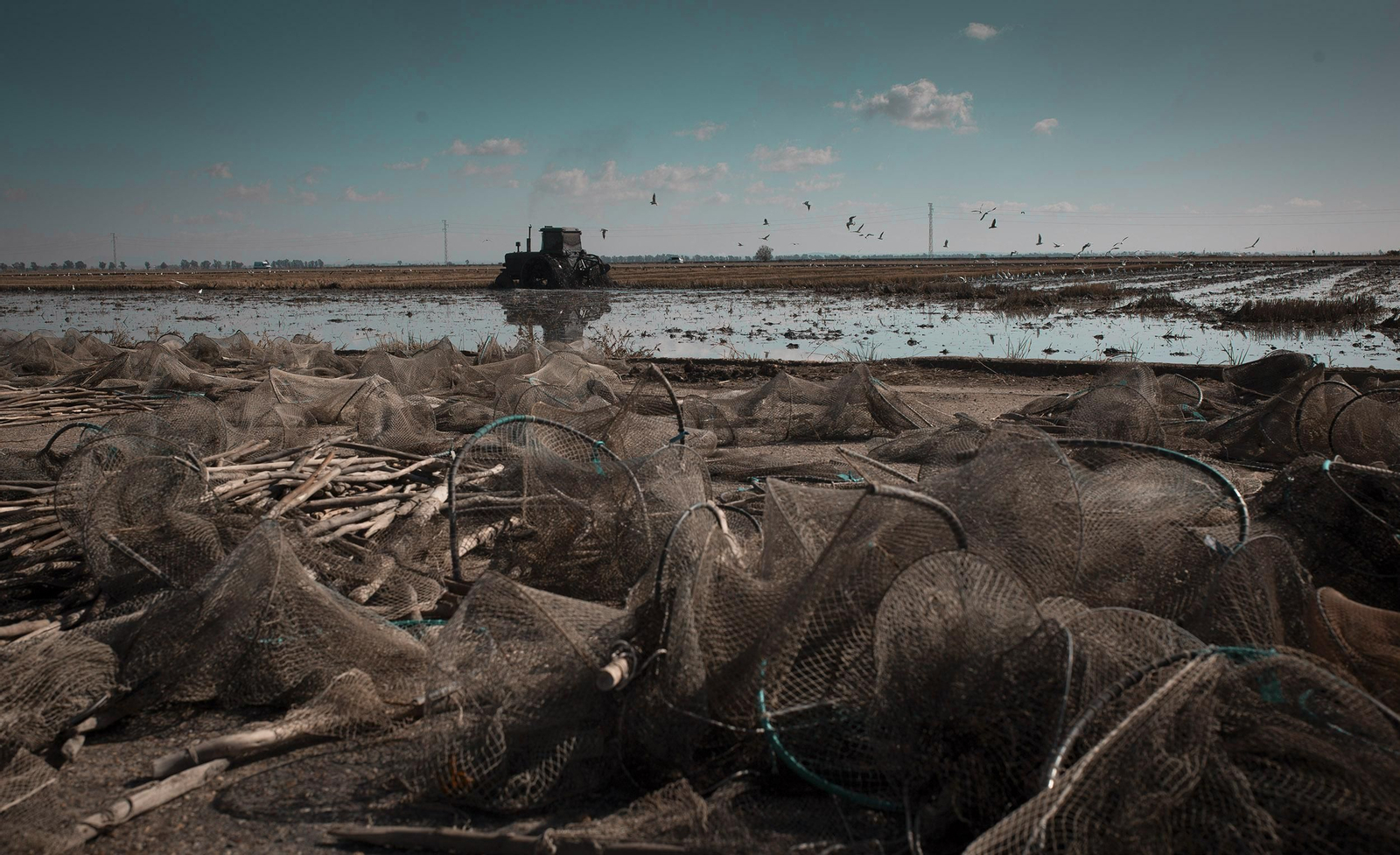 La ruta del arroz, en imágenes
