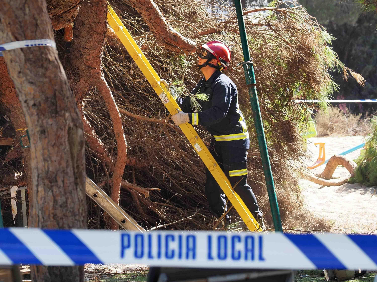 Un pino cae sobre las mesas de un restaurante en Nuevo Portil.