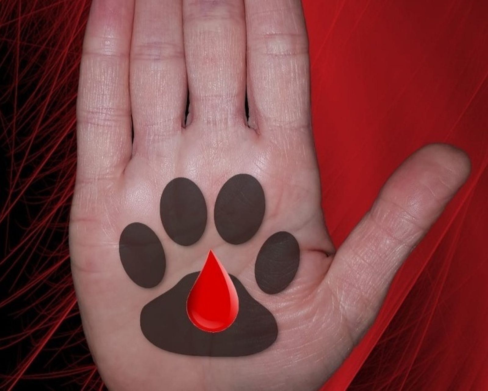 Imagen de la concentración organizada por Empatiza Córdoba.