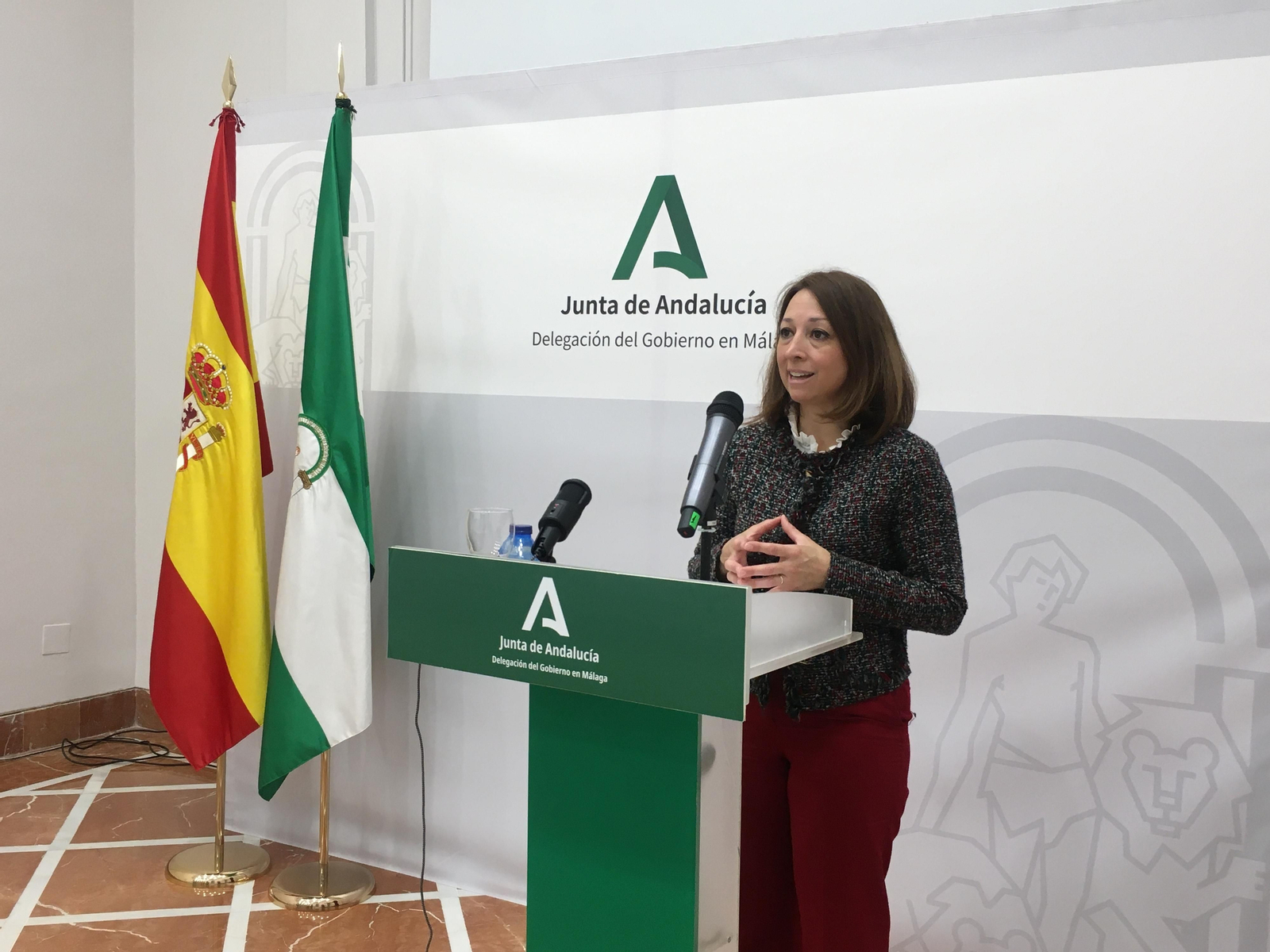 Patricia Navarro, este jueves, en la rueda de prensa. Patricia Navarro, este jueves, en la rueda de prensa.