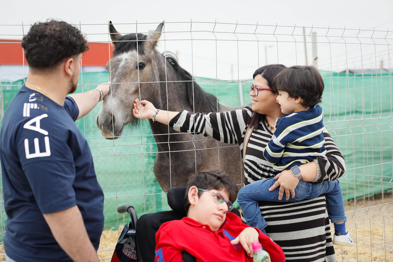 Galería de la Feria  de ganado en Tarambana