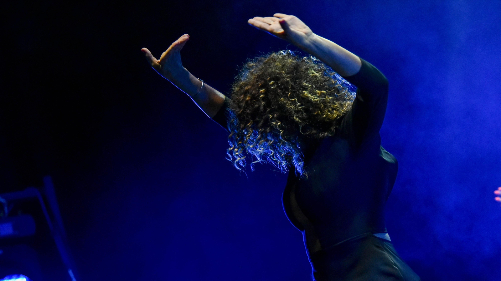 Fotos del concierto de Diego del Morao en el IX Encuentro Internacional de guitarra Paco de Lucía