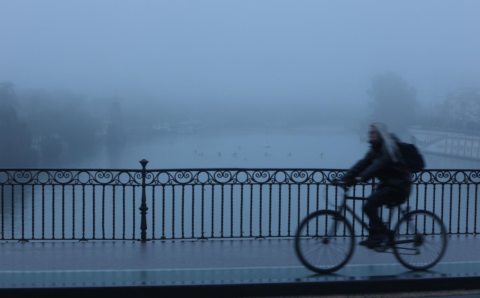 Las imágenes de la niebla en Sevilla