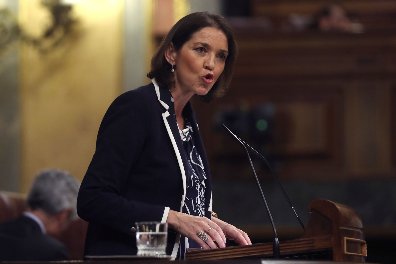 La ministra de Industria, Comercio y Turismo, Reyes Maroto, durante un pleno del Congreso.