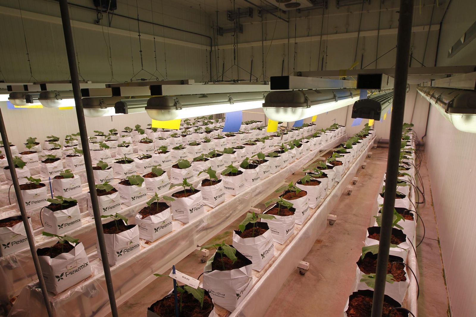 Fotogalería presentación resultados Bayer