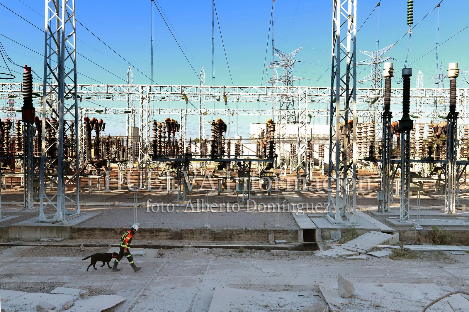 Imágenes del simulacro de los Bomberos de Huelva con la Unidad Canina